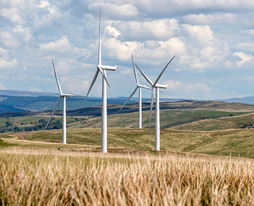 พลังงานสะอาด: อำนาจการค้าใหม่ของประเทศไทย